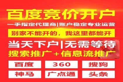 行业新秀如何通过SEM实现快速崛起