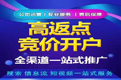 竞价托管成功案例：如何选择合适的托管方案？
